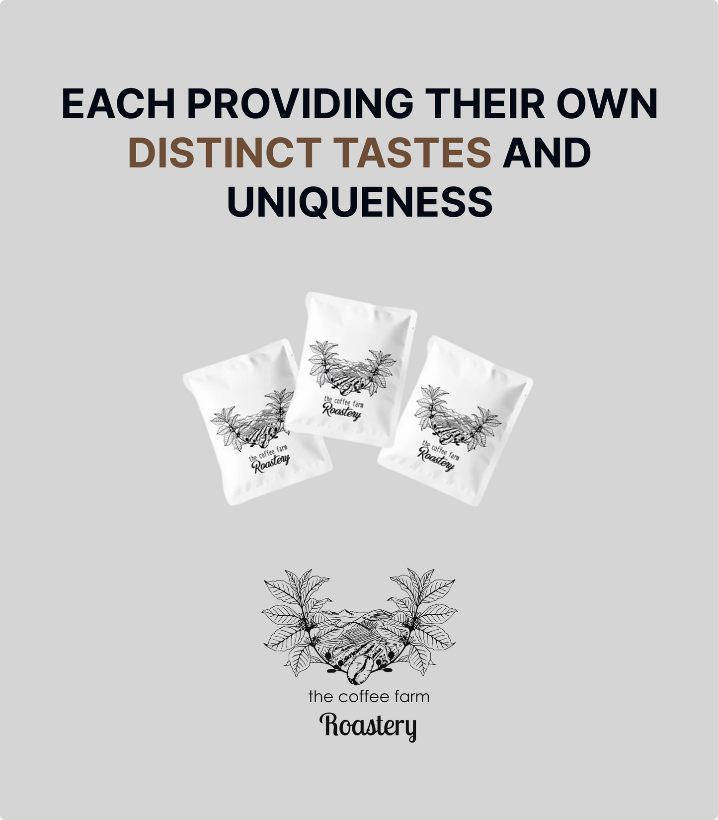 صندوق قهوة فلتر – 10 أكياس (كولومبي)